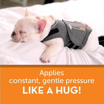 Calming dogs during thunderstorms - Petora ThunderShirt