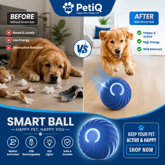 Interactive Dog Ball Toy – Smart Training Ball to Improve Dog IQ & Reduce Boredom