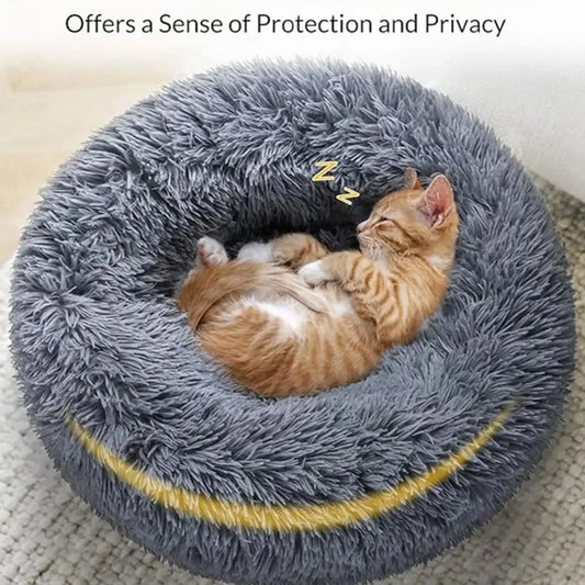 https://ae01.alicdn.com/kf/Sfcb777b4b44a4382a222e6f3388c1da4J.png